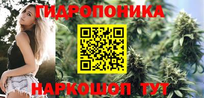 синтетический гашиш Кингисепп